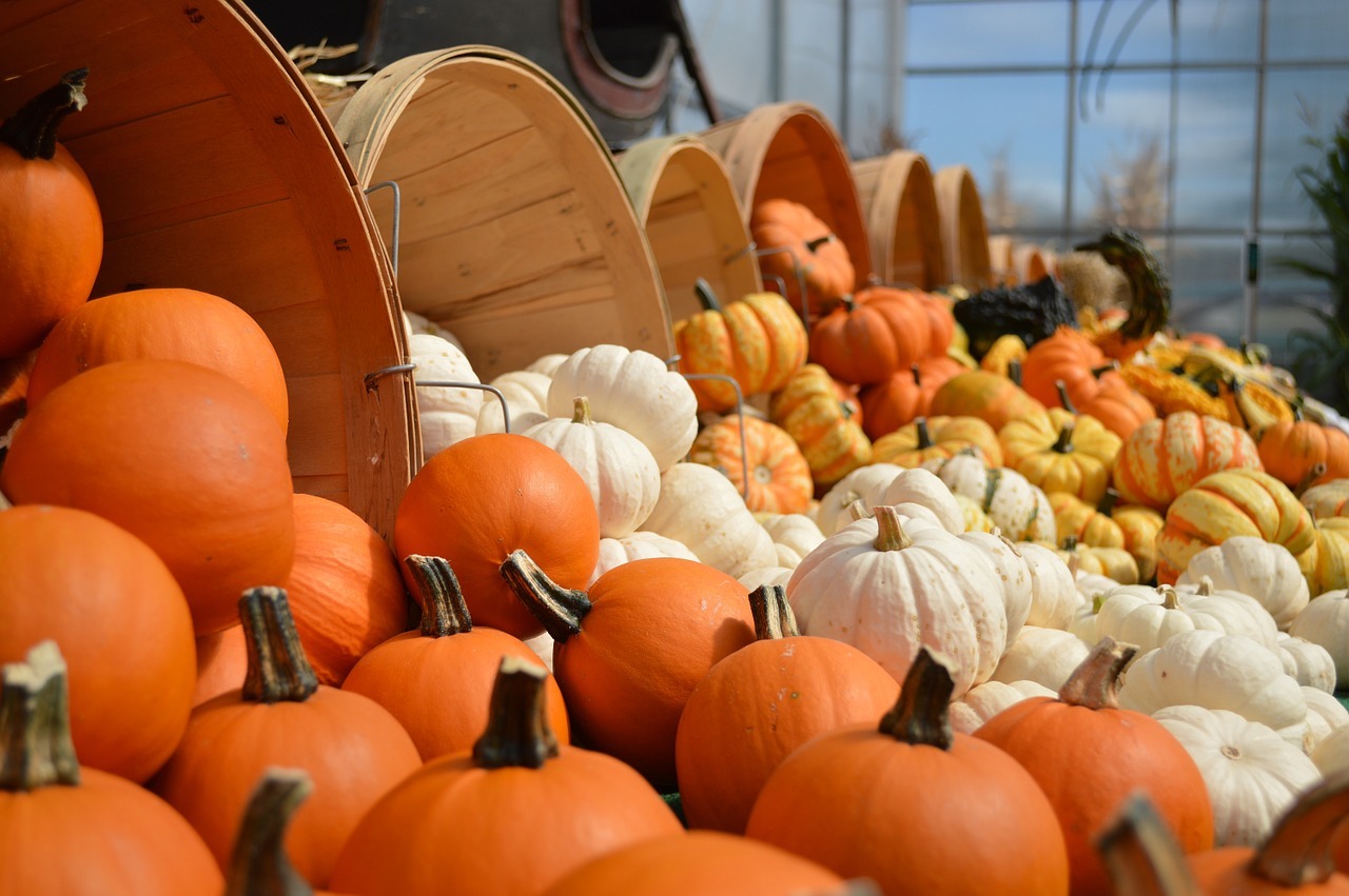 Plan a 2019 Estes Park Thanksgiving